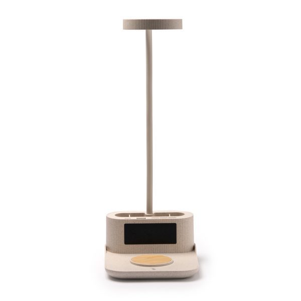 PAYTON CR1632