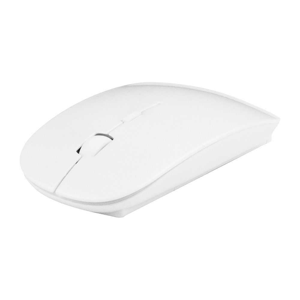 RATÓN SOURIS