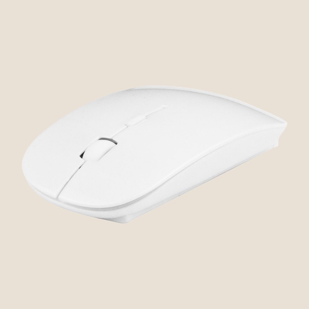 RATÓN SOURIS