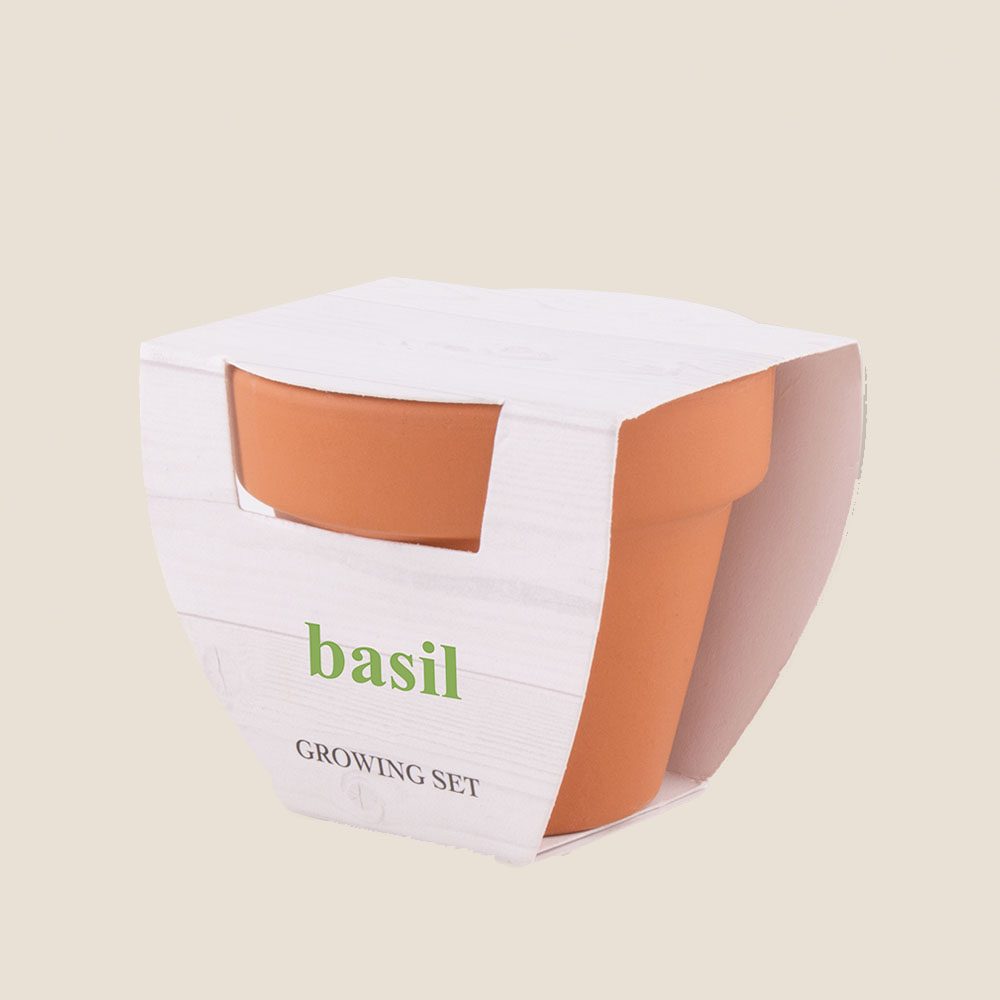 MACETA BASIL