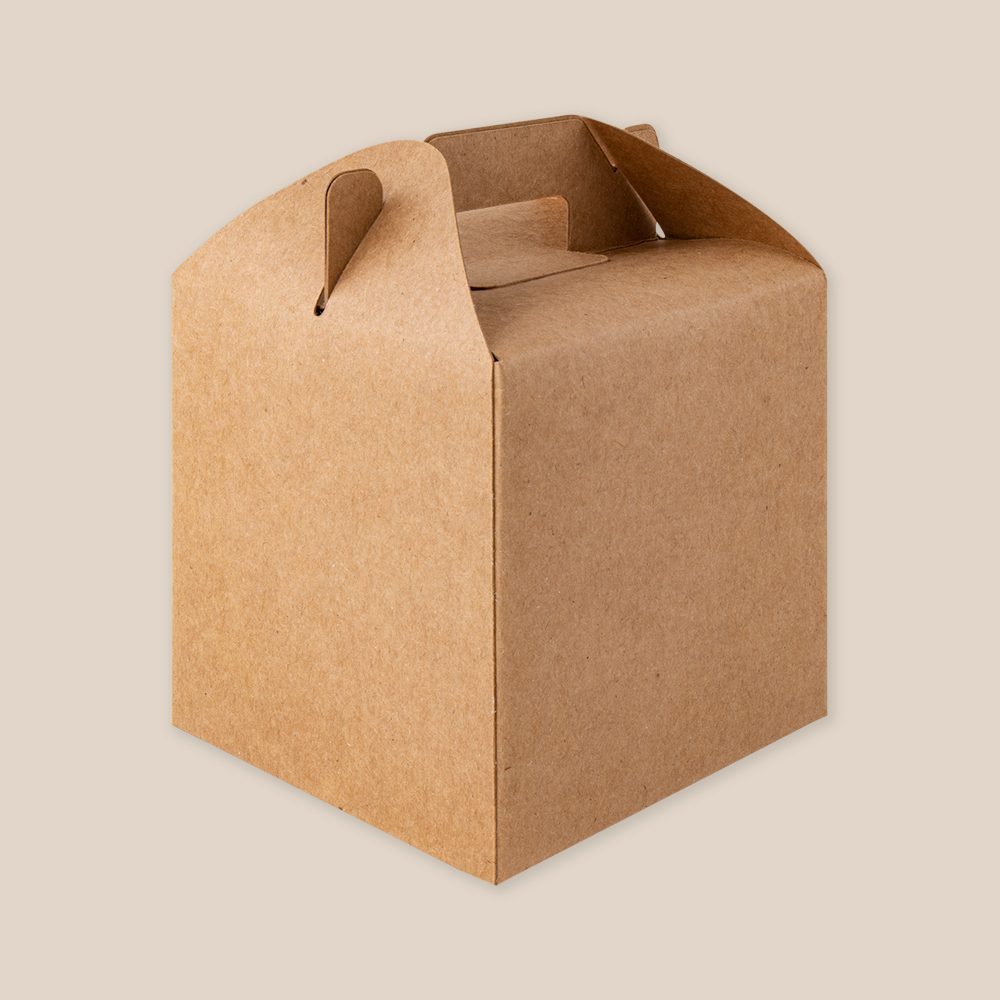 CAJA RELY
