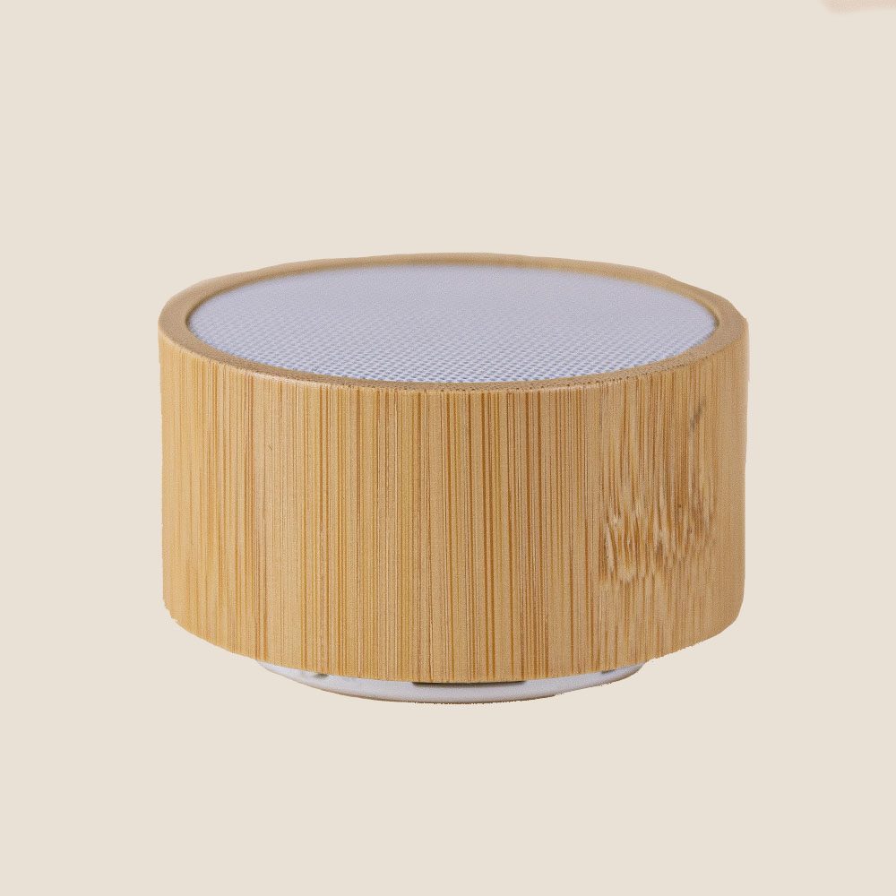 ALTAVOZ MAINE