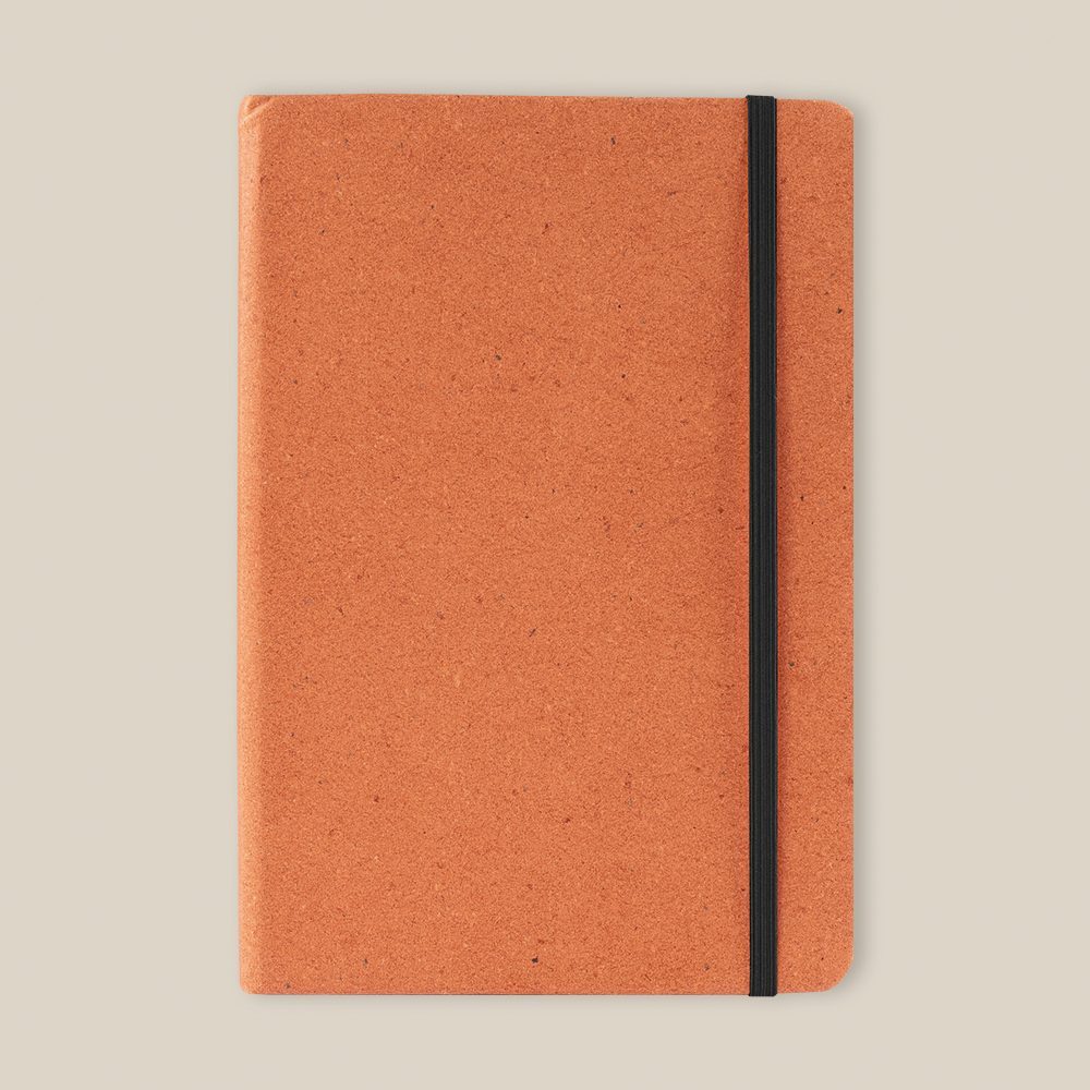 CUADERNO ROGUE