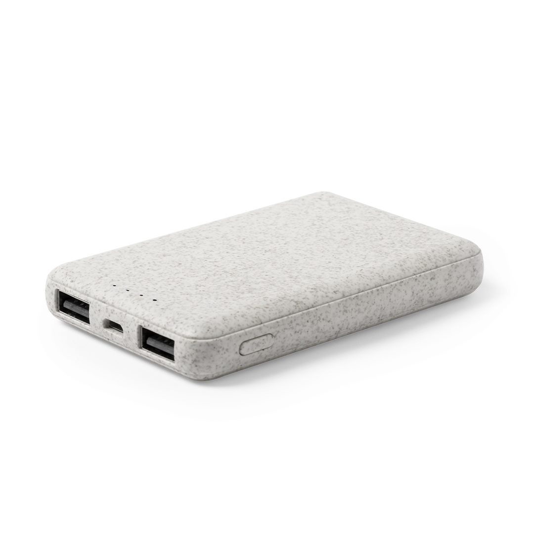 Power Bank Shiden