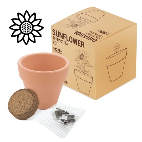 MACETA TERRACOTA COSMOS»FLORAL»10200