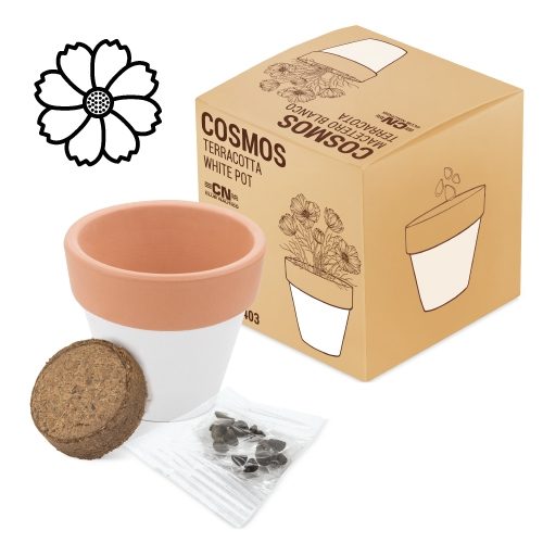 MACETA TERRACOTA «WHITE»10403