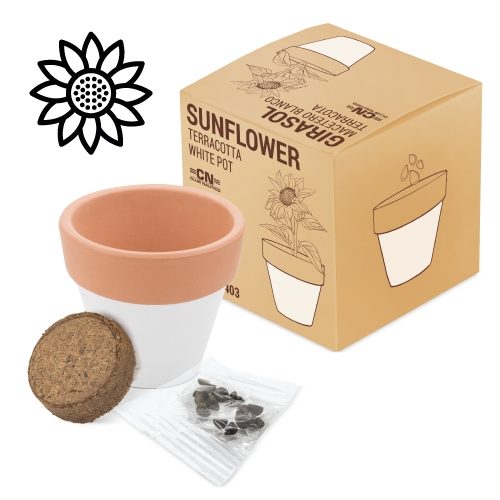 MACETA TERRACOTA «WHITE»10403