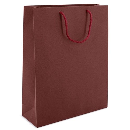 BOLSA DE CARTONCILLO ASA LOOPSE «ALEXIA»Z-1193